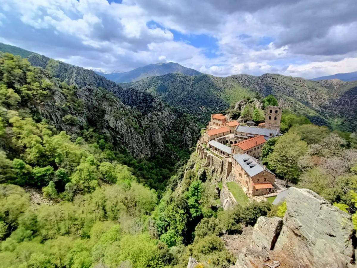 Palegry D'hotes Bed & Breakfast Perpignan