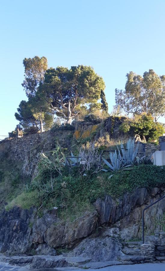 Bed & Breakfast Palegry D'hotes Perpignan