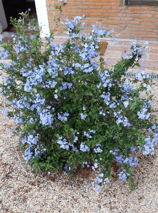 Mas Palegry Côté Jardin *