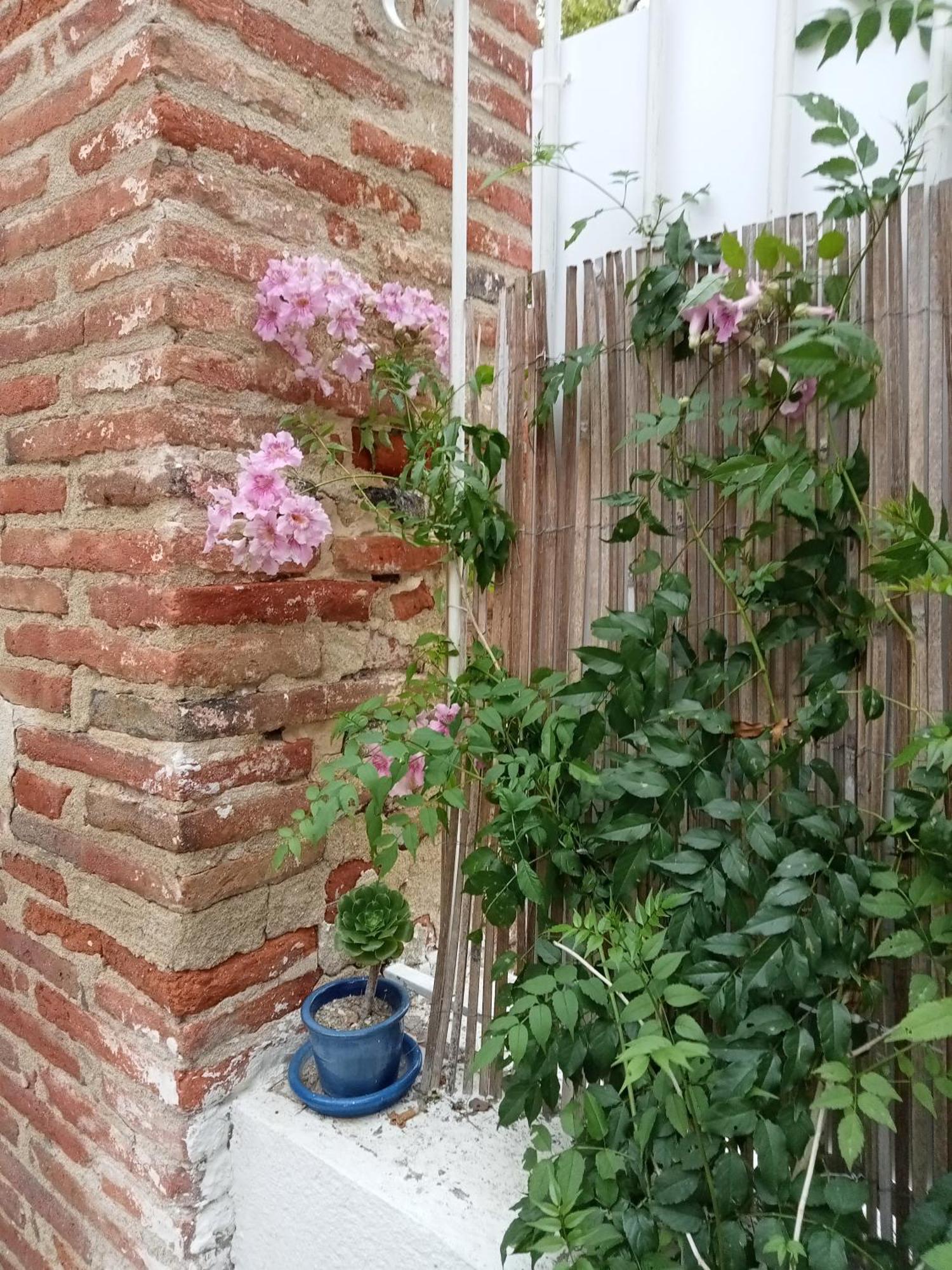 Mas Palegry Côté Jardin Perpiñán