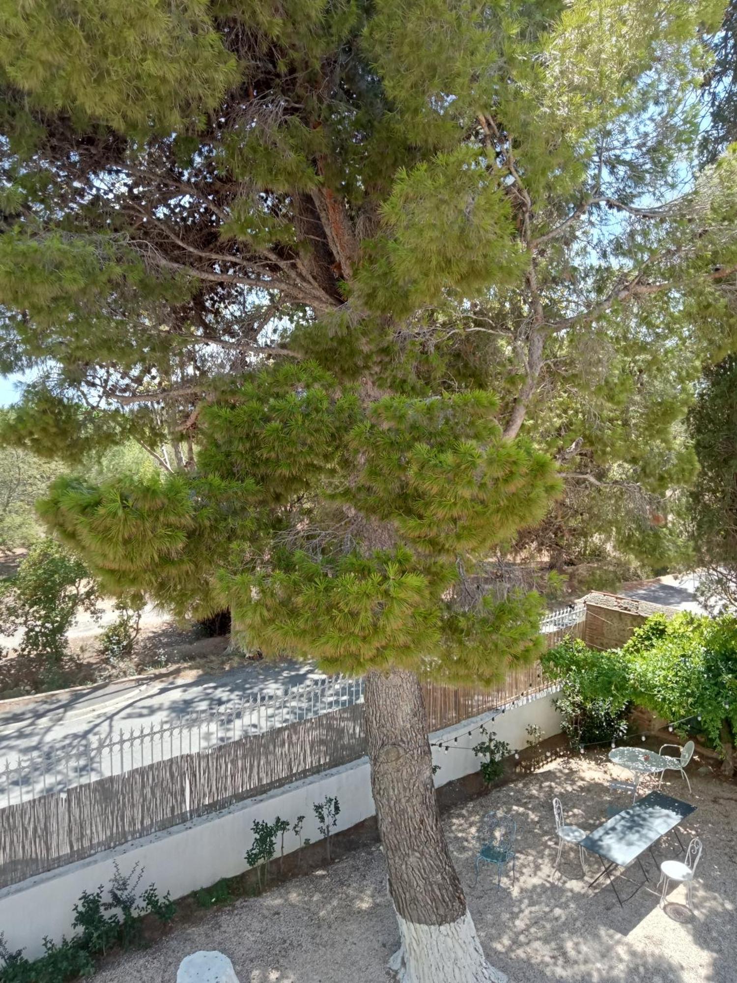 Mas Palegry Côté Jardin Bed and breakfast